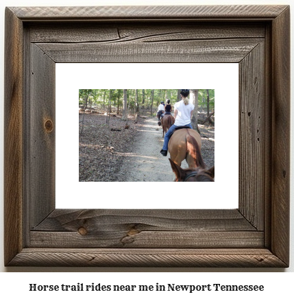 horse trail rides near me in Newport, Tennessee